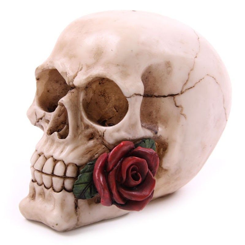 Skull with Roses