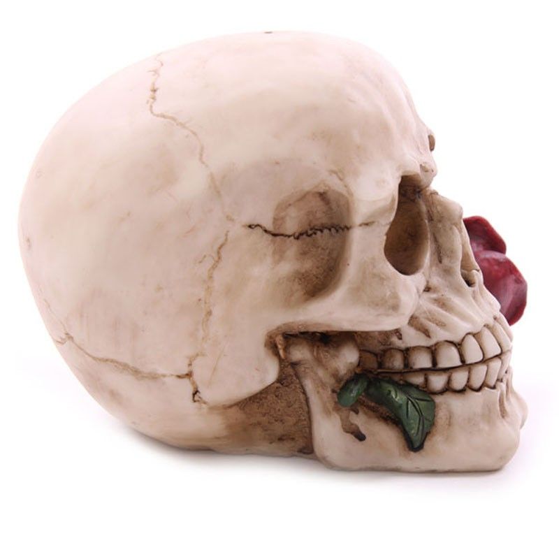 Skull with Roses